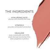 رژ گونه کرمی رز اینک | Rose Inc Cream Blush